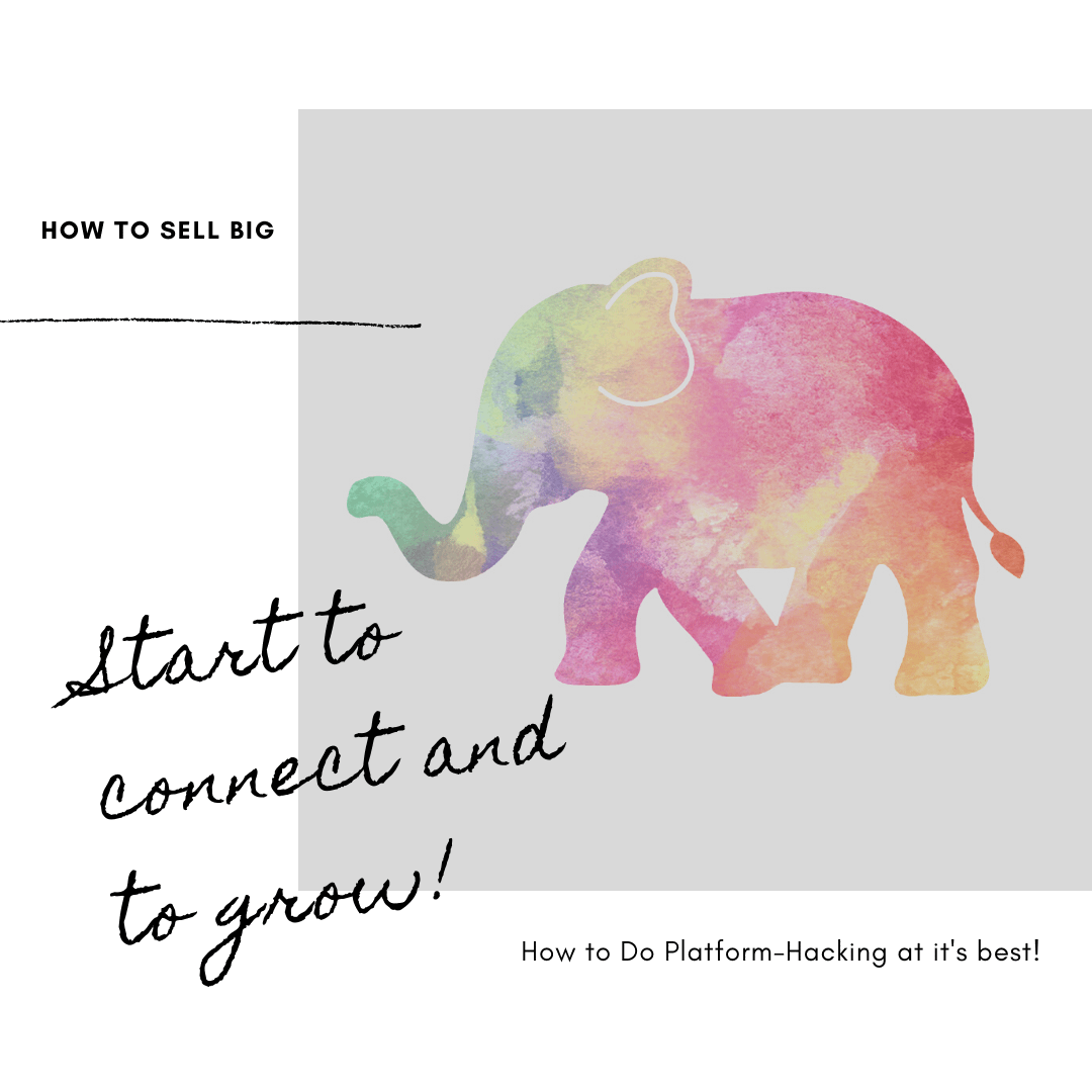 Nora Holtmann Platform-Hacking How to Sell Big